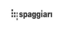 spaggiari logo grey